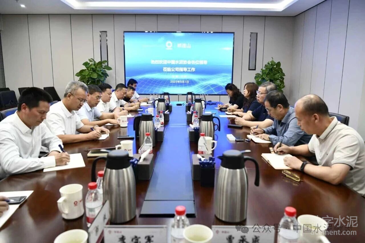 中国水泥协会执行副会长王郁涛、刘继彬一行赴甘肃考察调研